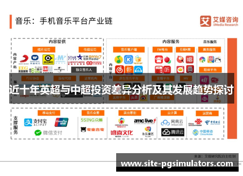 近十年英超与中超投资差异分析及其发展趋势探讨