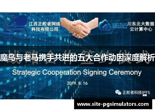 魔鸟与老马携手共进的五大合作动因深度解析